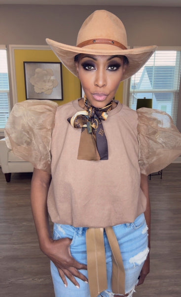 Organza Puff Sleeve Top